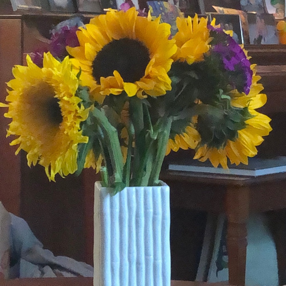 Meet your Posher, Anna